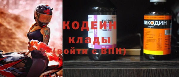 шишки Абаза