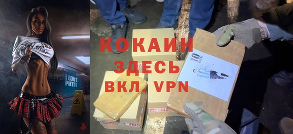 ECSTASY Алзамай