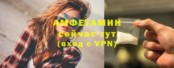 шишки Абаза