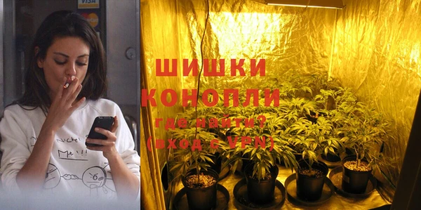 шишки Абаза
