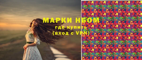 молекула духа Саяногорск