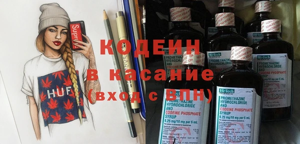 шишки Абаза