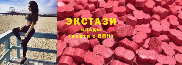 ECSTASY Алзамай