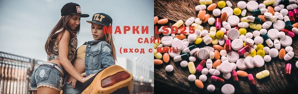 шишки Абаза