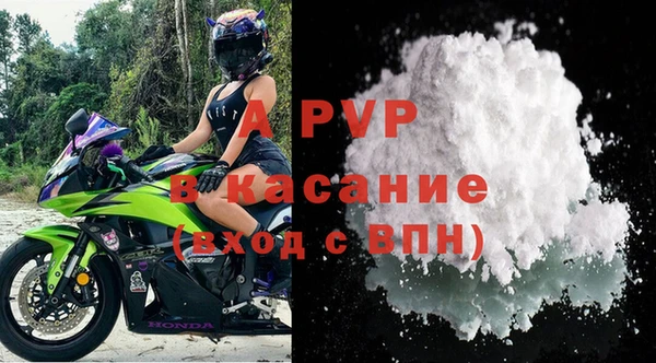 шишки Абаза